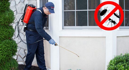 Doğanşar Haşere İlaçlama böcek ilaçlama ve haşere kontrolü — ilaclama-tr.com